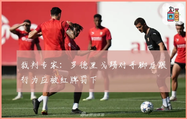 裁判专家：罗德里戈踢对手脚后跟行为应被红牌罚下